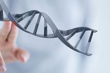 泰国三代试管医院实力大比拼，揭秘高成功率背后的秘密